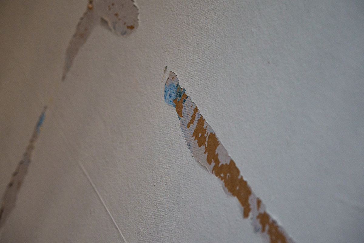 Basement Water Removal service in Stonecrest, GA